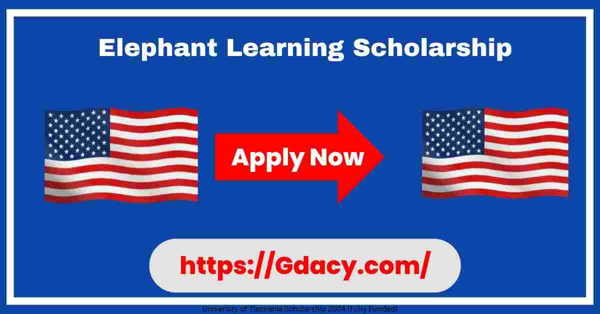 Elephant Learning Scholarship 2025