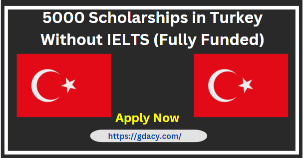 How to Apply for Scholarships in Turkey