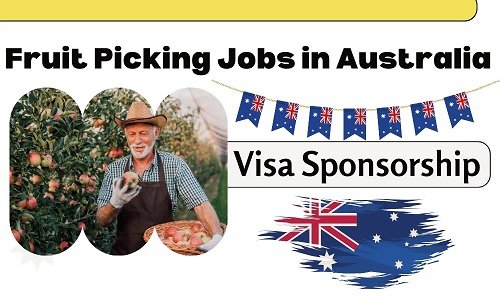 Fruit Picking Jobs in Australia 2024 with Visa Sponsorship