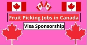 Fruit Picking jobs in Canada with visa sponsorship