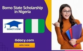 Borno State Scholarship 2025 in Nigeria