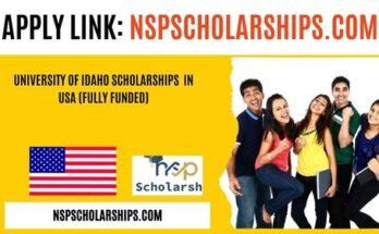 University of Idaho Scholarships 2025-26 in USA (Fully Funded)